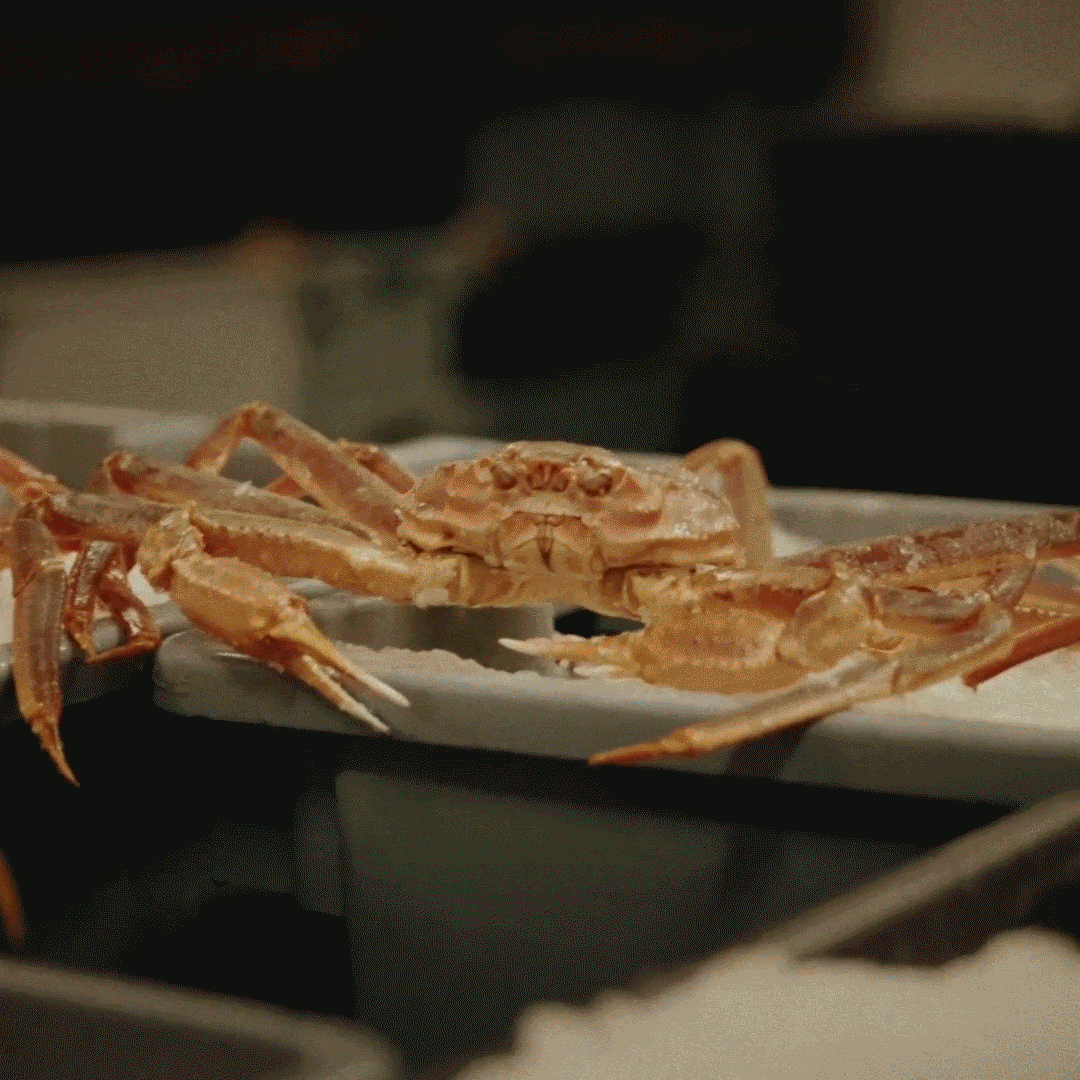 🦀High Protein Crab Leg Seafood Snack, Low Carb Friendly, Ready-to-Eat Ocean Flavor Treat-JR-XDD