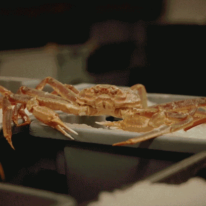 🦀High Protein Crab Leg Seafood Snack, Low Carb Friendly, Ready-to-Eat Ocean Flavor Treat-JR-XDD